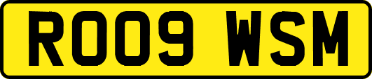 RO09WSM