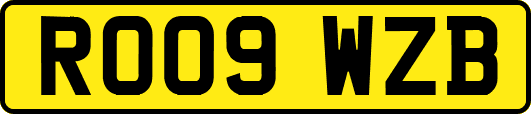 RO09WZB