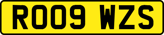 RO09WZS
