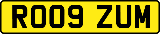 RO09ZUM