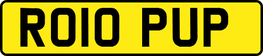 RO10PUP