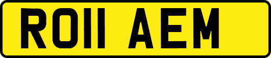 RO11AEM