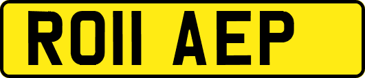 RO11AEP