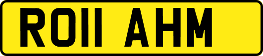 RO11AHM