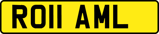RO11AML