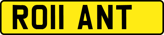 RO11ANT