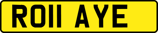 RO11AYE