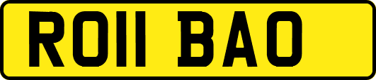 RO11BAO