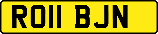 RO11BJN