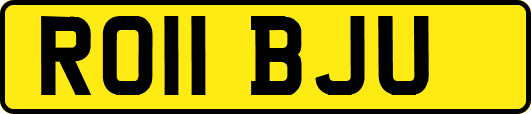 RO11BJU