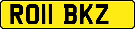 RO11BKZ