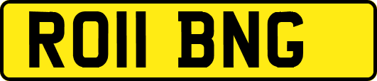 RO11BNG