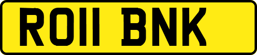 RO11BNK