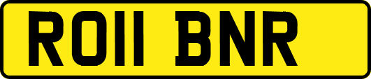 RO11BNR