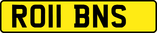 RO11BNS