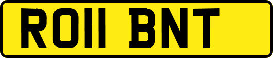 RO11BNT
