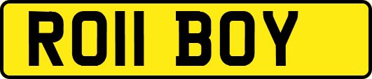 RO11BOY