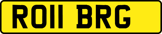 RO11BRG