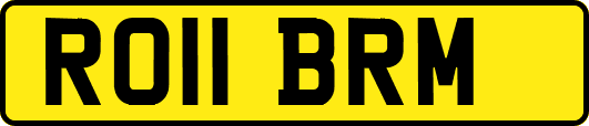 RO11BRM