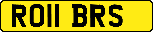 RO11BRS