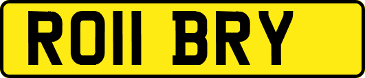 RO11BRY