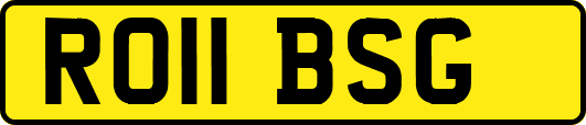 RO11BSG