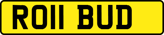 RO11BUD