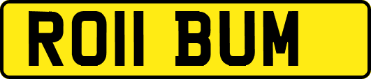 RO11BUM