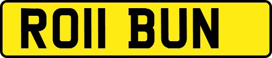 RO11BUN