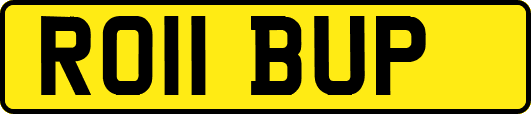 RO11BUP