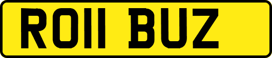 RO11BUZ