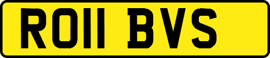 RO11BVS