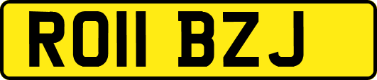 RO11BZJ