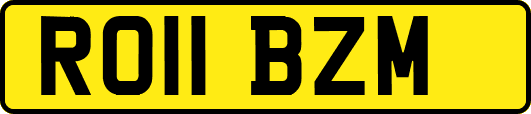 RO11BZM