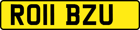 RO11BZU