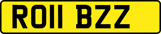 RO11BZZ