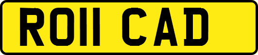 RO11CAD