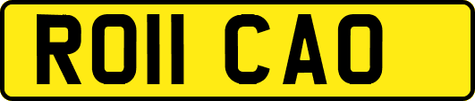 RO11CAO