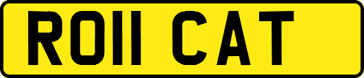 RO11CAT