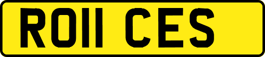 RO11CES