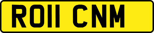 RO11CNM