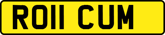 RO11CUM