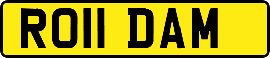 RO11DAM