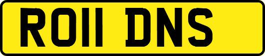 RO11DNS