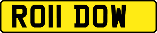 RO11DOW