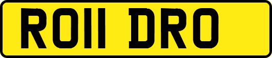 RO11DRO