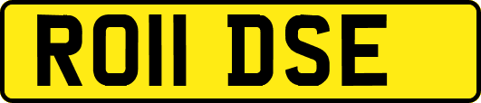 RO11DSE