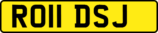 RO11DSJ