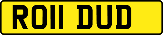 RO11DUD