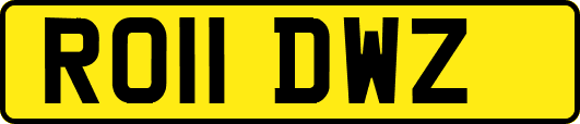 RO11DWZ